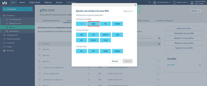 On crée un enregistrement de type AAAA (IP V6)\